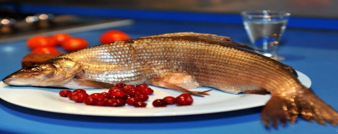 хариус