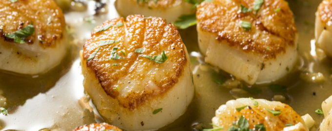 Гребешки рецепт приготовления жареный с чесноком