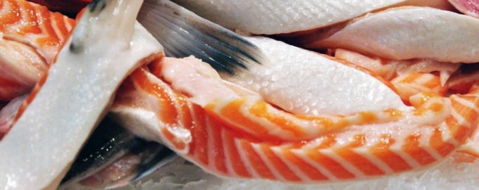 засолить брюшки семги в домашних условиях